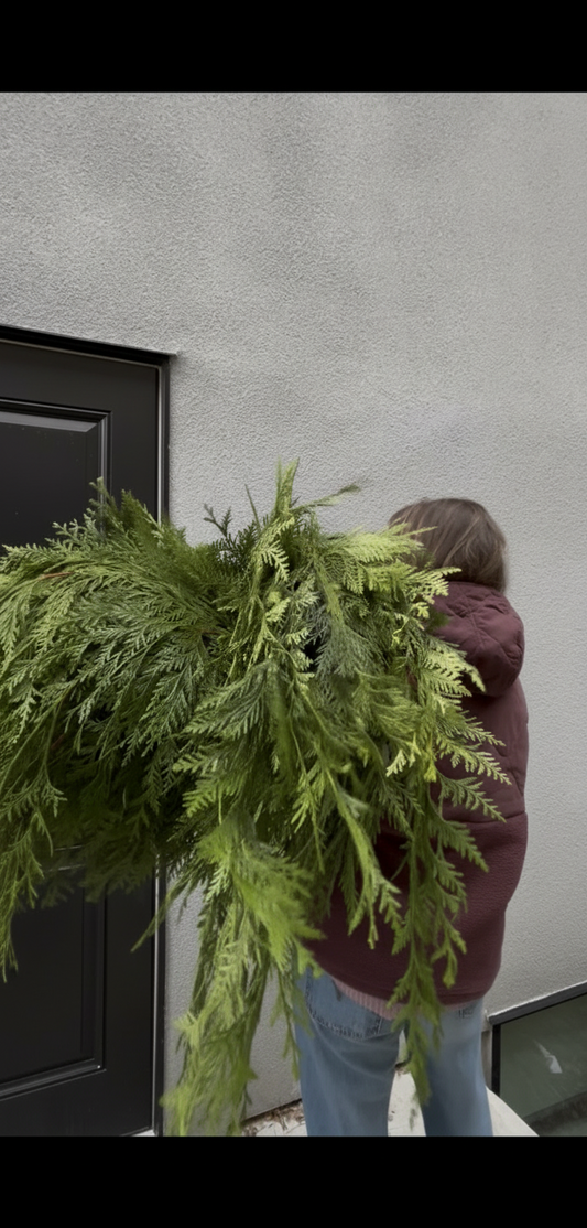 Fresh Christmas Greenery Bundles