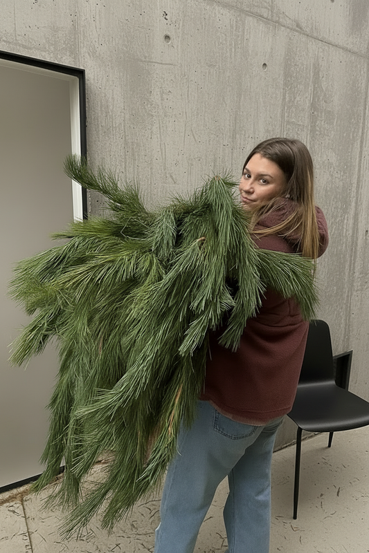 Fresh Christmas Greenery Bundles