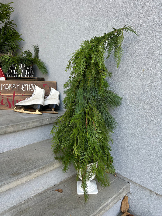 Whimsical Porch Tree
